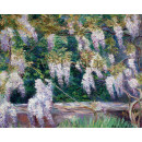 РЕПРОДУКЦИИ НА КАРТИНИ Глицинии в Живерни (1925)